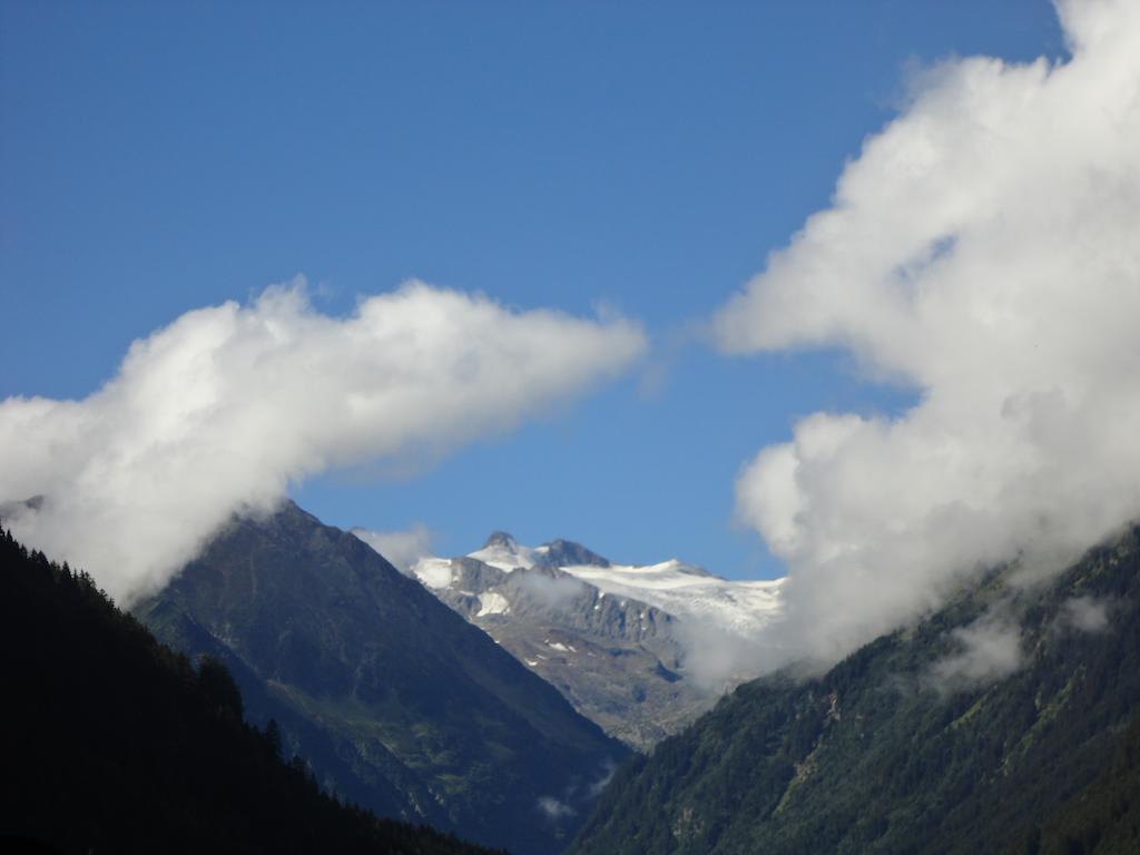 Haus Gleinser - Neustift Im Stubaital Cameră foto